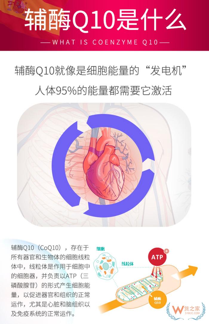 西班牙DIGAPLUS輔酶Q10咀嚼片30粒/盒